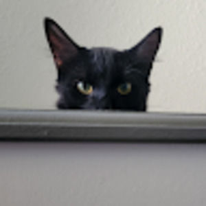 Meet your Posher, Diane